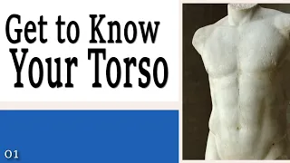 01 Get to Know Your Torso - Learning to Control Your Torso