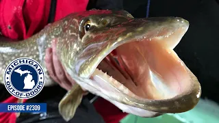 Pike Spearing, Pike Recipe; Michigan Out of Doors TV #2309