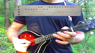 Omnia - Fee Ra Huri (mandolin cover with tabs)