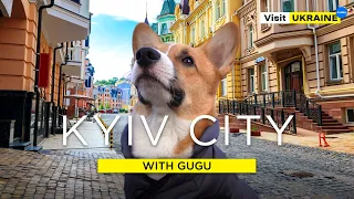 Kyiv city with dog. Landscape Alley and Vozdvizhenka 4K  / Kyiv / Ukraine / Пейзажная аллея