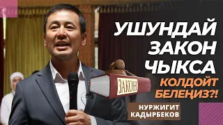 Ушундай закон чыкса колдойт белеңиз?! | Нуржигит Кадырбеков