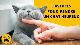 COMMENT RENDRE UN CHAT HEUREUX EN APPARTEMENT 👉5 Astuces Infaillibles🐱