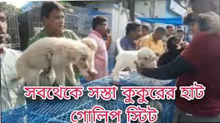 Galiff Street Pet Market Kolkata | Cheapest Dogs Market In India | Dog Price | Gallif street kolkat
