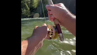 What Every Fisherman DREAMS About!