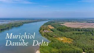 #djimini2 | Murighiol - Danube Delta.  #danubedelta #romania