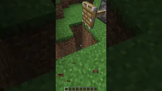 My Minecraft Dog Survived a Fall!!