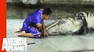 Man Caught In Crocodile Death Roll | Untamed & Uncut