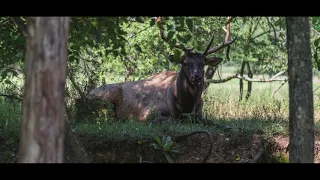 High Adventure Ranch Cinematic Version