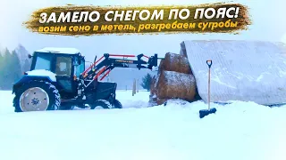 Нас завалило снегом🌨️ В уборке снега задействованы даже коты и телята😜Возим рулоны сена в метель