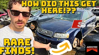 Taking A Stroll Though The Junk Yard 7 + RARE FINDS! - 87 Jetta GLI | Audi S4? | Volvo 960  | E34!