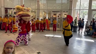 Chinese New Year Lion Dance & Kung-Fu