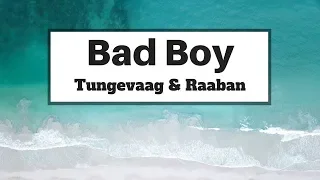 Tungevaag & Raaban - Bad Boy (Lyrics) | Panda Music