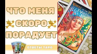 Что меня порадует в ближайшее время?/ Таро что порадует/ Таро/ онлайн расклад/tarot