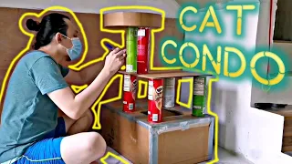 How to make Cat Condo - Part 1 😻