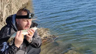 Nagykunsági öntöző főcsatorna🎣, a 3 nem várt csuka története!🎥