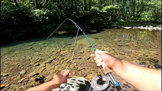 Trout and Crayfish Catch & Cook in a Clear Mountain Stream *ASMR*