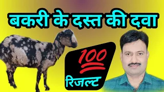 bakre bakri ke dast ki dava बकरे बकरी के दस्त रोकने की दवा bakri ko dast lagne/ loose motion ki dawa