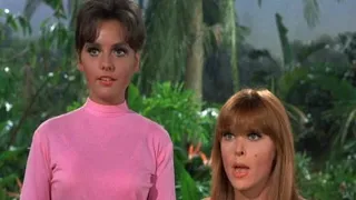 Dawn Wells Nearly Went Too Far, Try Not To Gasp