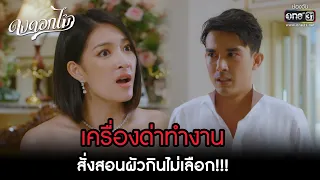 เครื่องด่าทำงาน สั่งสอนผัวกินไม่เลือก!!! | HIGHLIGHT ดงดอกไม้ EP.01 | 29 พ.ย. 65 | one31