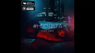 Леша Свик - #Неодета - Текст Песни