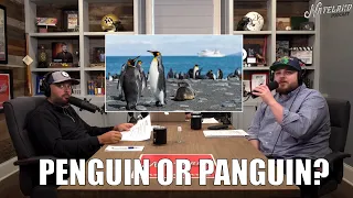 Penguin or Panguin? | Nateland Podcast