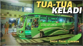 JOGJA - TEGAL NAIK BUS KLASIK | Citra Adi Lancar Citaro by Restu Ibu #1