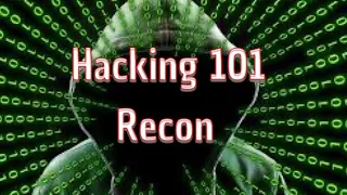 Hacking 101: single domain webapp recon with nmap, nikto and gobuster - #1