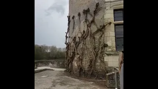 Château de Chenonceau  is a French château.It is one of the best-known châteaux of the Loire Valley.