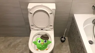 Duolingo transformation: Skibidi toilet