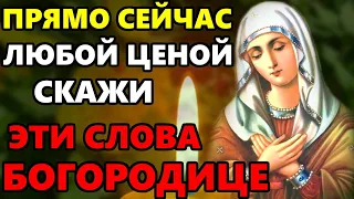 Риза Богородицы ЛЮБОЙ ЦЕНОЙ СКАЖИ ЭТУ МОЛИТВУ БОГОРОДИЦЕ! Молитва Богородице! Православие