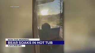 Bear caught on camera relaxing in Gatlinburg hot tub