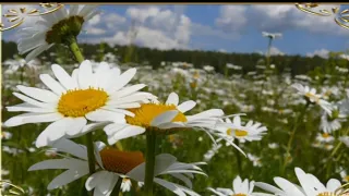 Летний блюз  Лето мы и бесподобный джаз+ блюз Релакс Summer blues Summer us and the blues