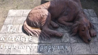 Памятник собаке в Сосновоборске