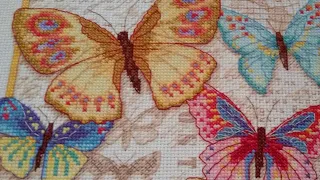 Красота бабочек 70-35338 Dimensions