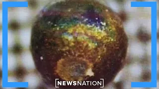 'Nothing like it': Loeb on interstellar meteor found in ocean | Elizabeth Vargas Reports