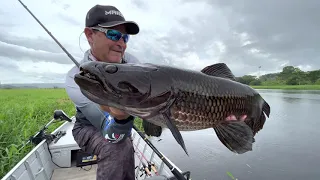 GIANT WOLF FISH AND A SPECIAL LUNCH (ASMR)