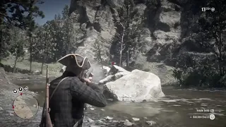 RDR2 - Easy Golden Eagle location