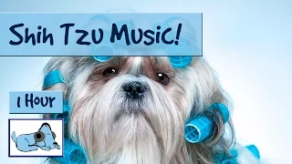 Music for Shih Tzu's! Relax Your Small Dog, Perfect for Your Hyperactive Shih Tzu! #SHIHTZU01