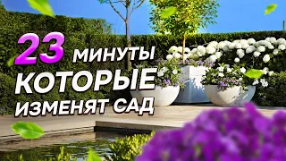 💥26 лучших МНОГОЛЕТНИКОВ для контейнерного озеленения