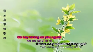 [Vietsub-Pinyin]@ Nghe nói phương xa có người- 听闻远方有你- 词/ 曲: 刘钧  Từ/ Khúc: Lưu Quân