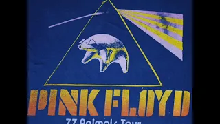 Pink Floyd - Pigs On The Wing Parts 1 & 2 - Snowy White Goldtop Version