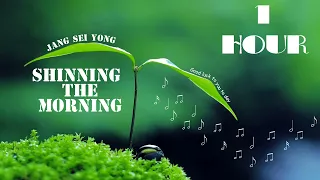 [1 HOUR] SHINNING THE MORING - JANG SEI YONG