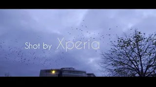 Sony Xperia Cinematic Video shot by pro app 4k 25 fps and 120fps #xperia #pro #5ii