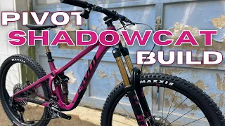 Pivot Shadowcat Build