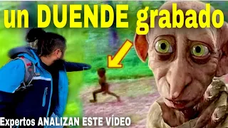 Duendes grabados por primera vez (nuevo vídeo viral )