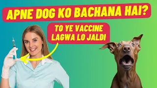 Important Vaccinations For Puppies | Vaccination Price in India | The Ultimate Channel