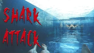 Shark Attack waterslide. My AquaVenture Waterpark experience at Atlantis The Palm, Dubai.