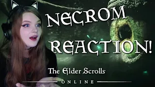 Elder Scrolls Online: Necrom Reaction!!