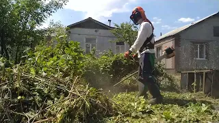 Покос stihl fs450 хмели-сунели с малиной мульчирующим диском