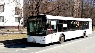 Автобус МАЗ-203 по 63